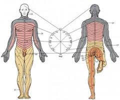 Acupuntura